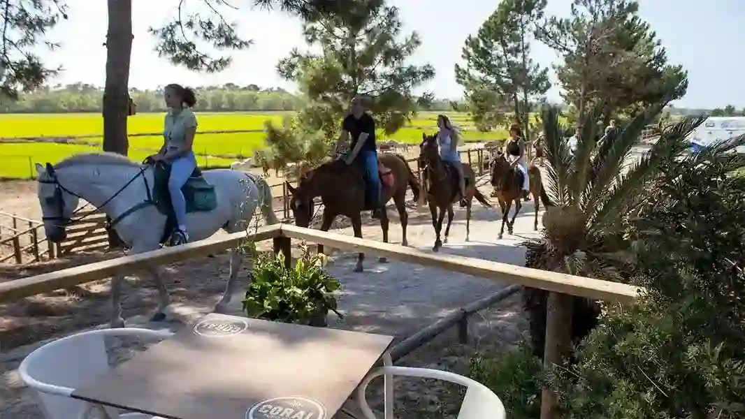 Horseback riding in Comporta