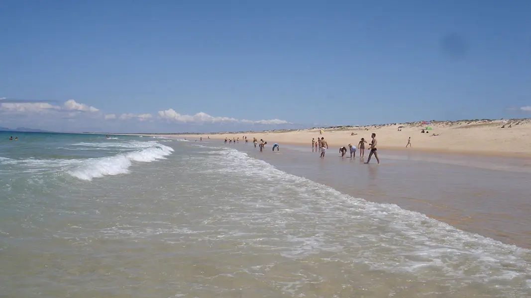 Beach of Carvalhal