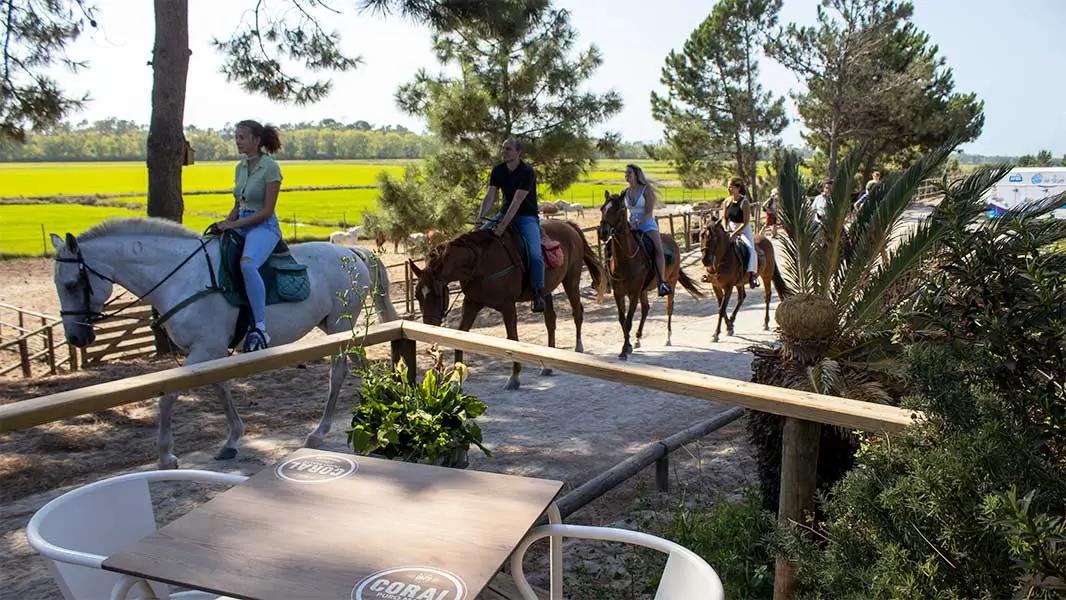 Horseback riding in Comporta